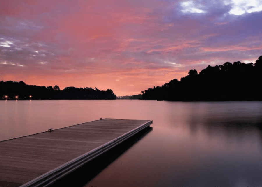 Running trails in Singapore | MacRitchie Reservoir