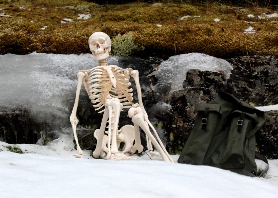 How to eat at a buffet