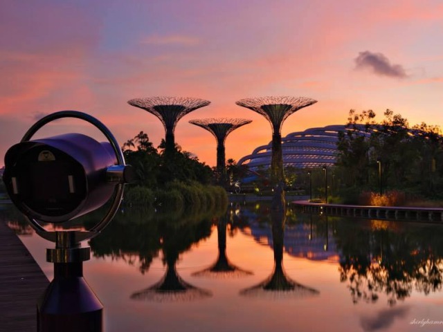 Movie Screenings at Gardens by the Bay