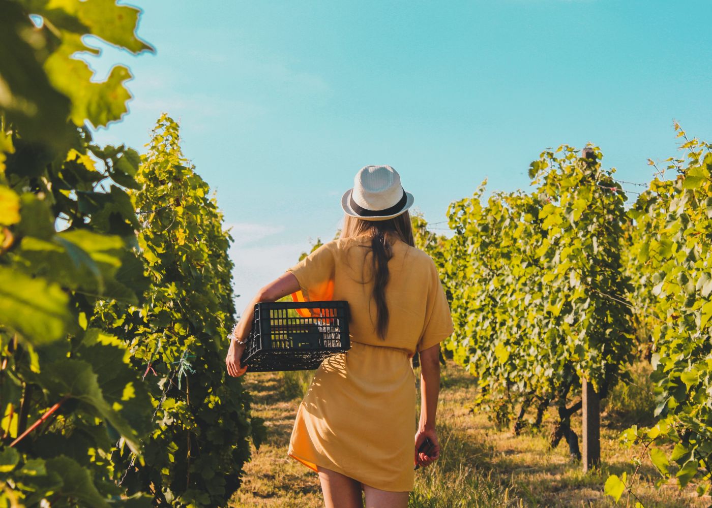 10 best places to buy natural wines in Singapore