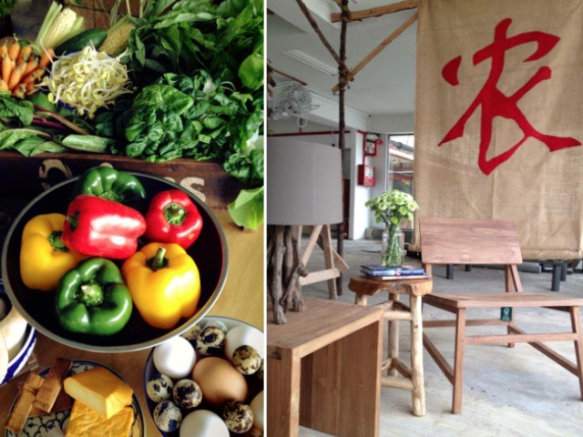 Fermentation Workshop by Shu Han