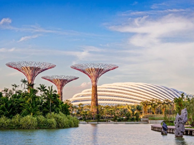 Steps in the Park 2014