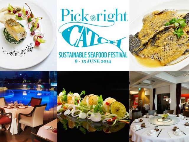 Sustainable Seafood Festival