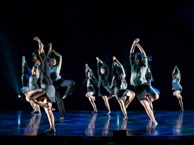 Momentum Dance Festival: Screenings and Workshops