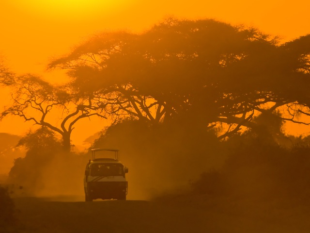 Every Safari is different