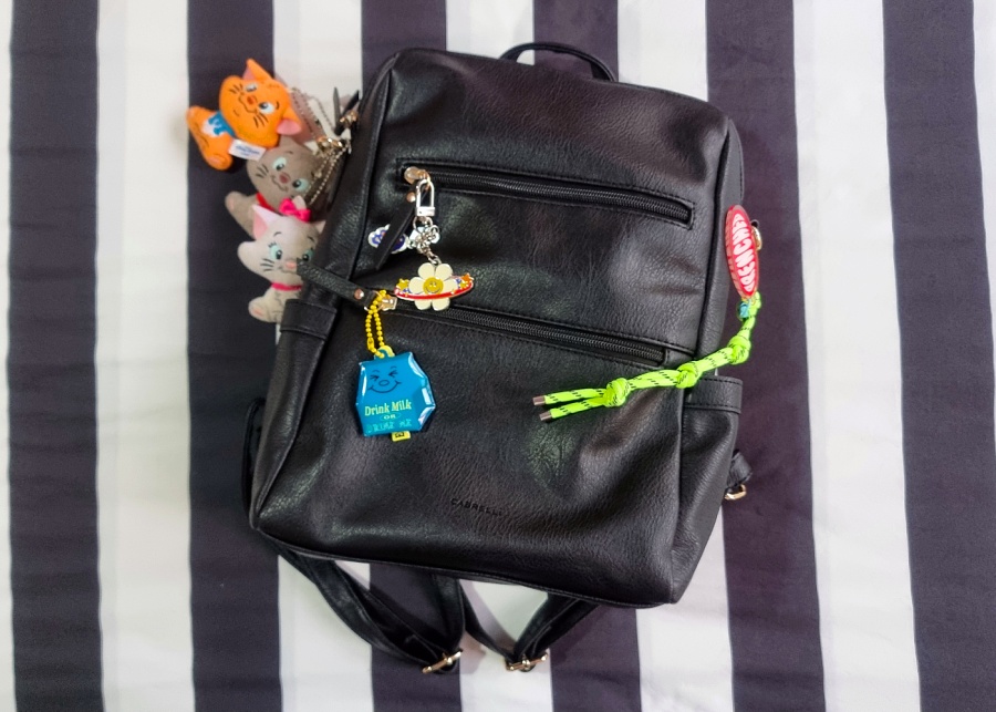 Sufyan's Aristocats charms and various keychains | Bag charms in Singapore