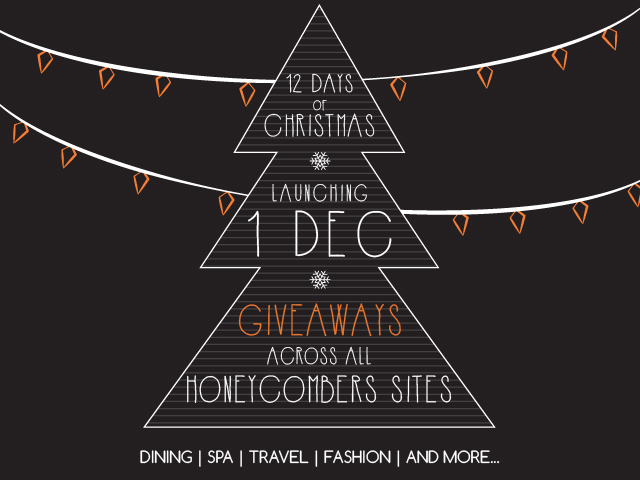 12 Days of Christmas Giveaways