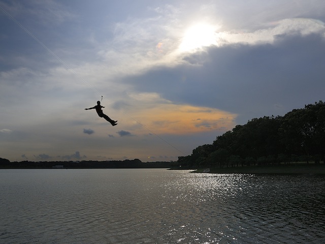 Unleash Your Inner Tarzan