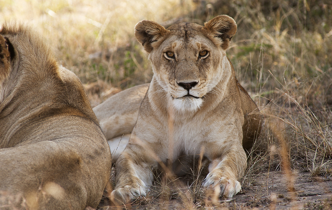 Unique honeymoons for adventure-seeking couples: Fly camping, mountain trekking and more