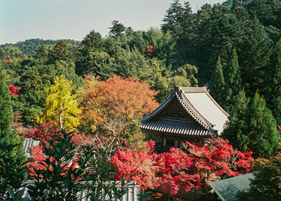 things to do in fukuoka | kamado shrine