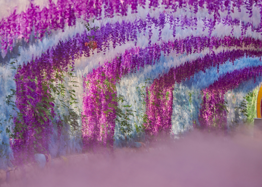 things to do in fukuoka | kawachi fujien attraction