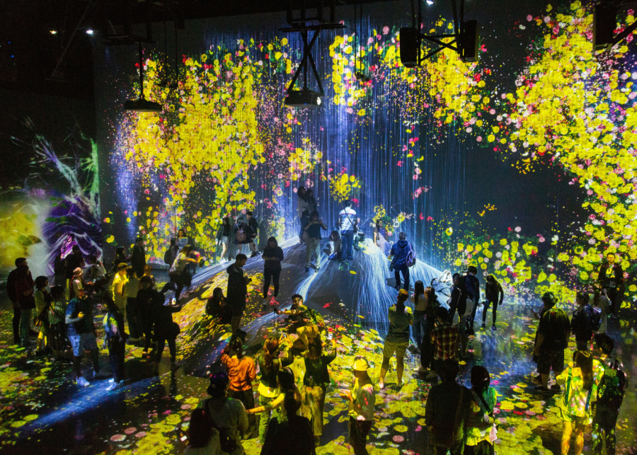 things to do in fukuoka | teamlab forest attraction