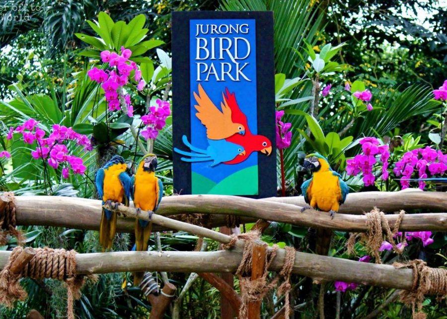 Jurong Bird Park