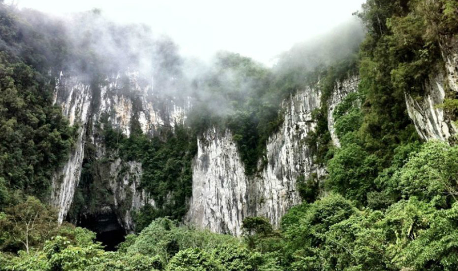 Gunung Mulu, Borneo