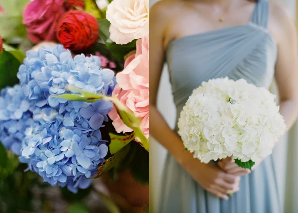 Flower bouquets in Singapore: Guide to the meanings behind roses, lilies, peonies, and other blooms