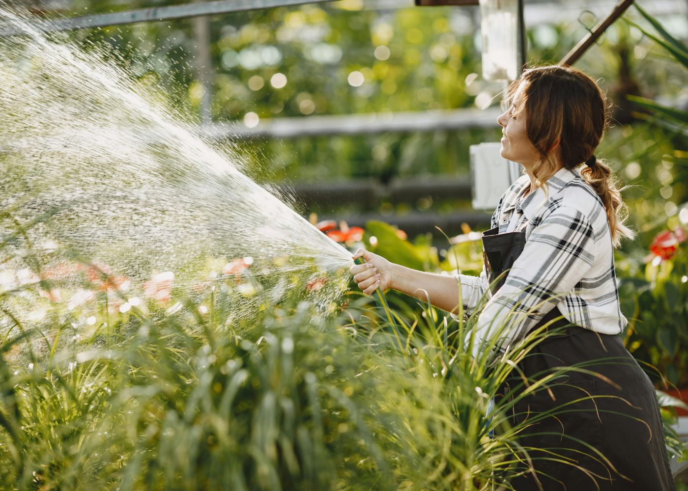 Best gardening and landscaping services in Singapore: Our picks for garden care and maintenance