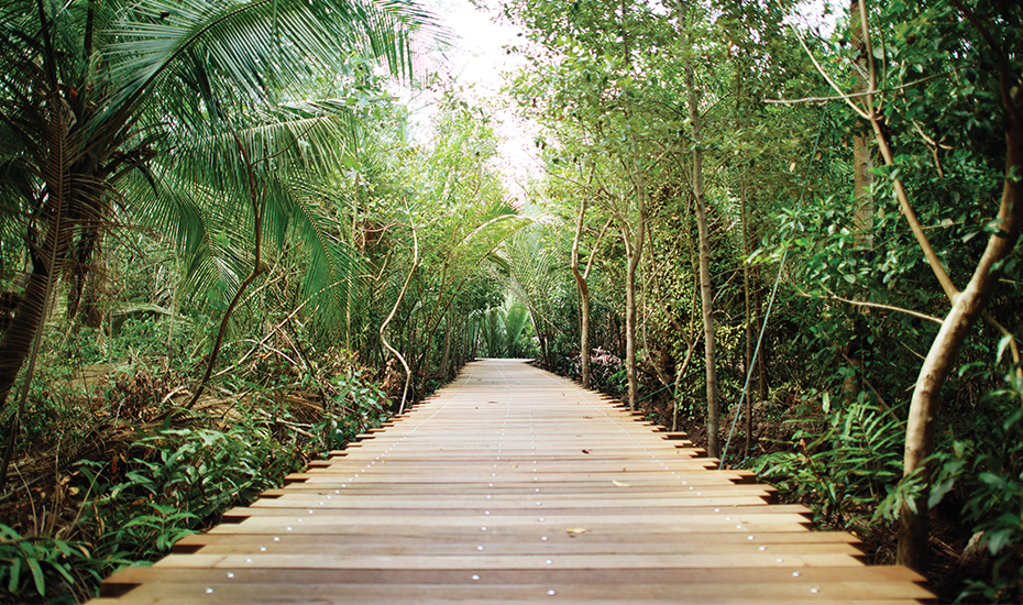 Explore Pulau Ubin and enjoy its beautiful greenery (Credit: NParks)