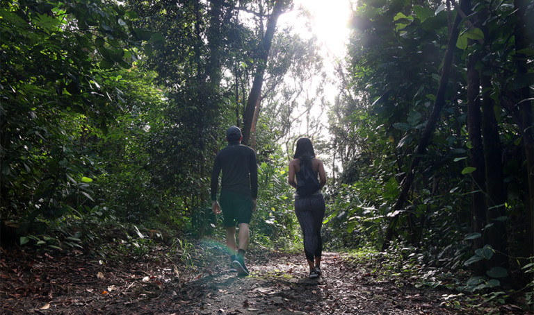 Hikes in Singapore: Honeycombers treks The Southern Ridges, including Mount Faber Park, Henderson Waves and Hortpark