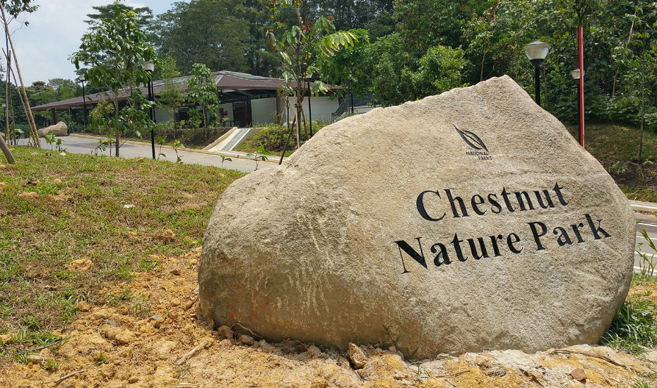 Hike and bike: Chestnut Nature Park is the largest and newest trail that everyone’s talking about