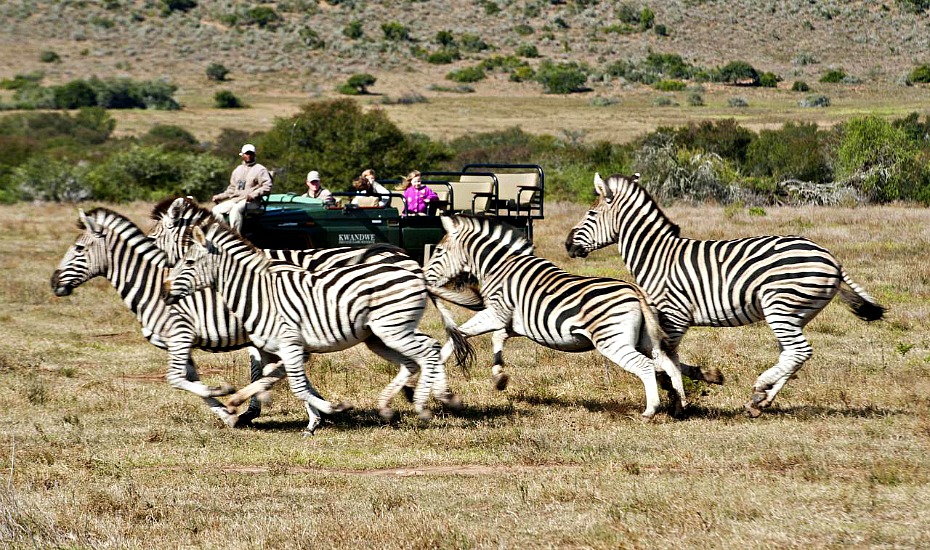 Family vacations from Singapore: Scenic tours in Sri Lanka, South Africa, the Alps, New Zealand and Myanmar with Scott Dunn