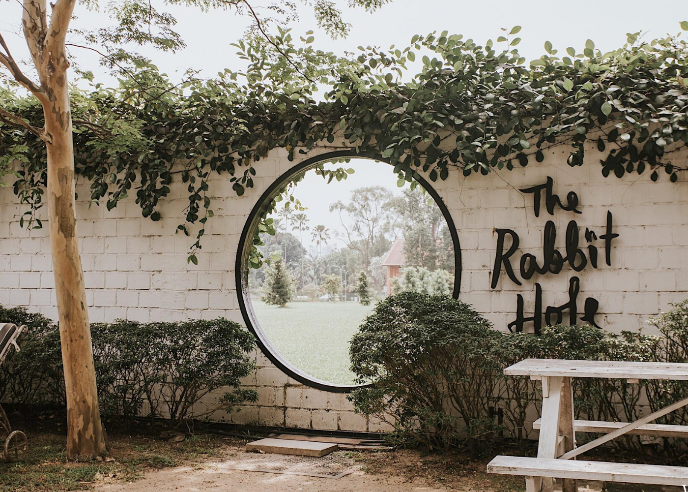 Take a trip down the rabbit hole