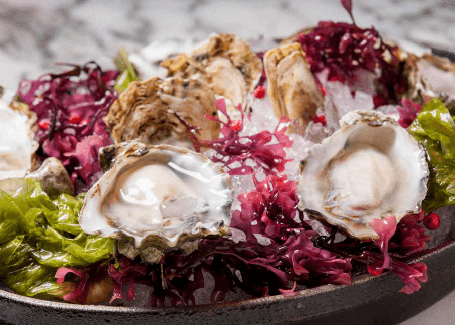 Oyster bars in Singapore | db Bistro & Oyster Bar