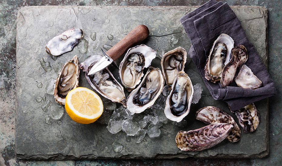 Where to eat oysters in Singapore: World Oyster Festival 2017 kicks off this weekend at Greenwood Fish Market