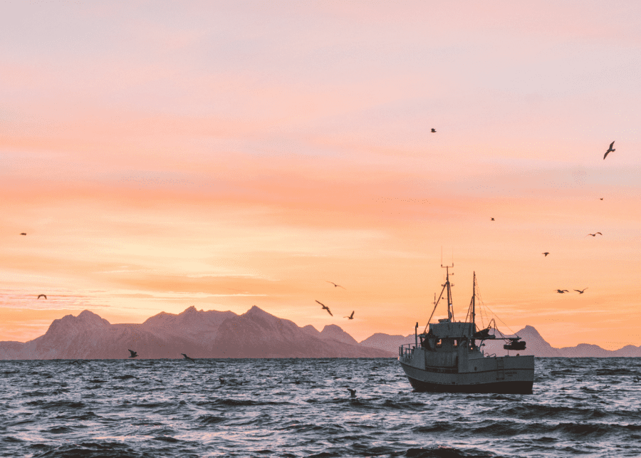 seaspiracy: fishing boat