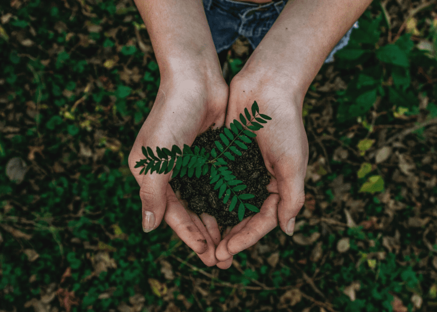 Sustainable living in Singapore: 8 easy ways to be eco-friendly