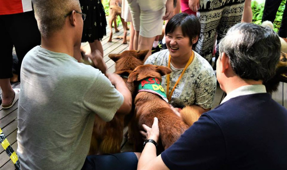 community service at animal shelters near me