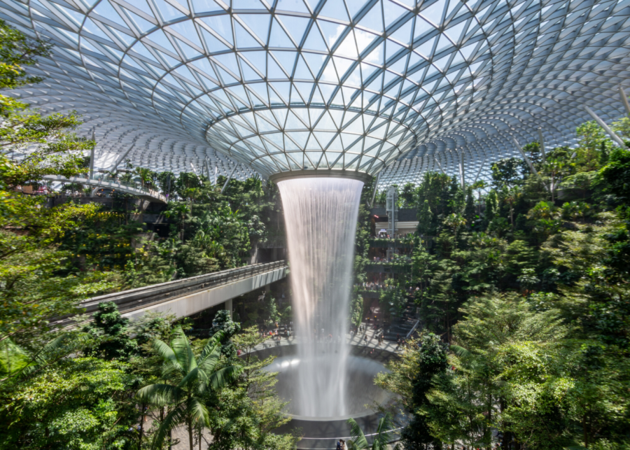 indoor waterfall trees