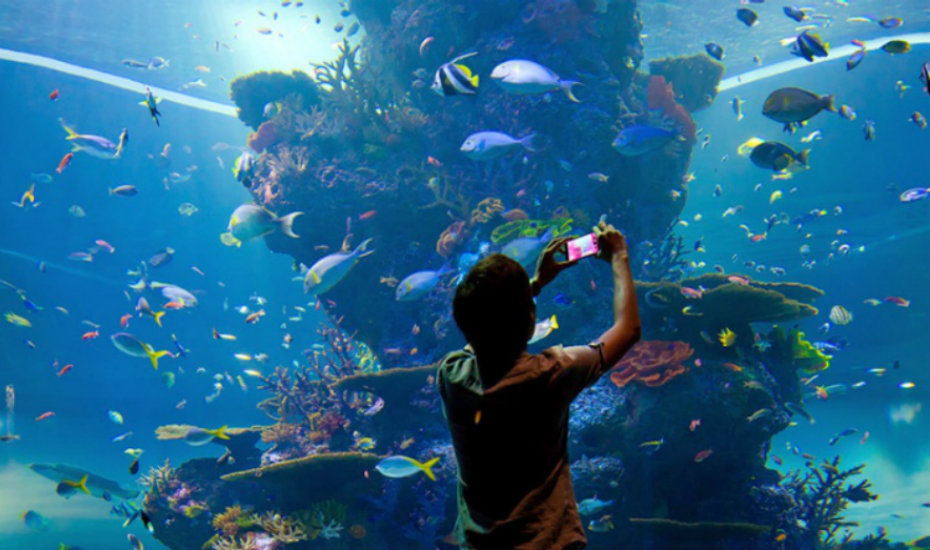 Deals in Singapore: 3 food and family promotions at Resorts World Sentosa you’ll wanna snap up