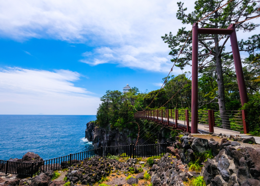 best day trips from tokyo | jogasaki coast