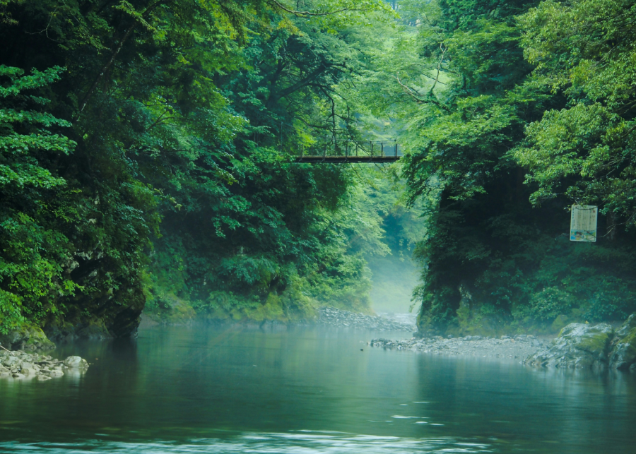 best day trips from tokyo | okutama