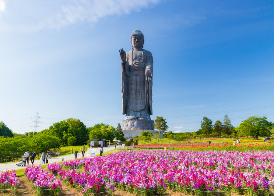 best day trips from tokyo | ushiku daibutsu buddha