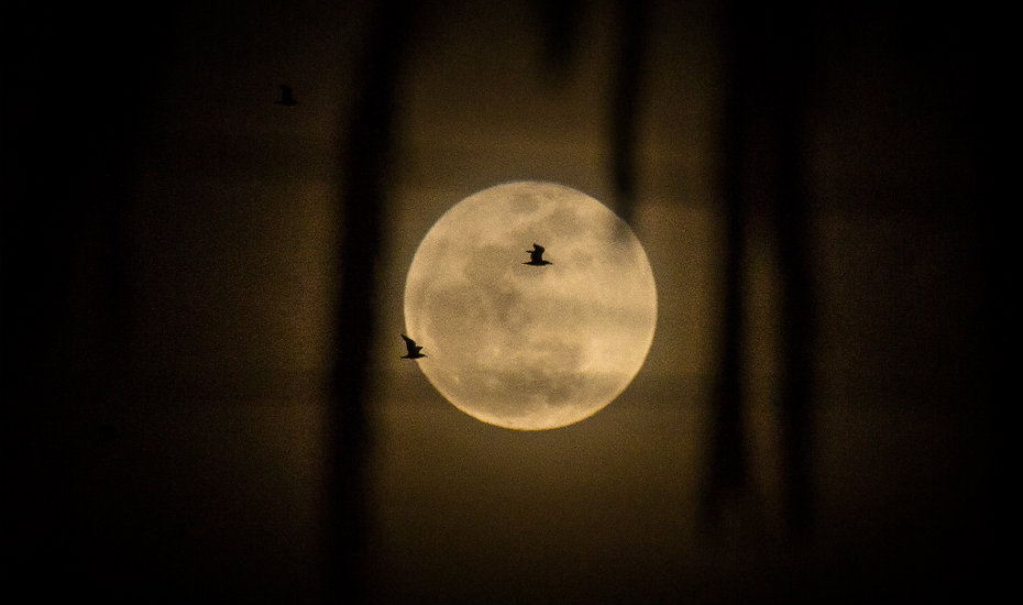 Look up: There’s a lunar eclipse happening in Singapore on 8 August