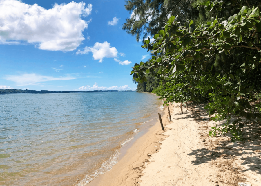 coney island park beach singapore