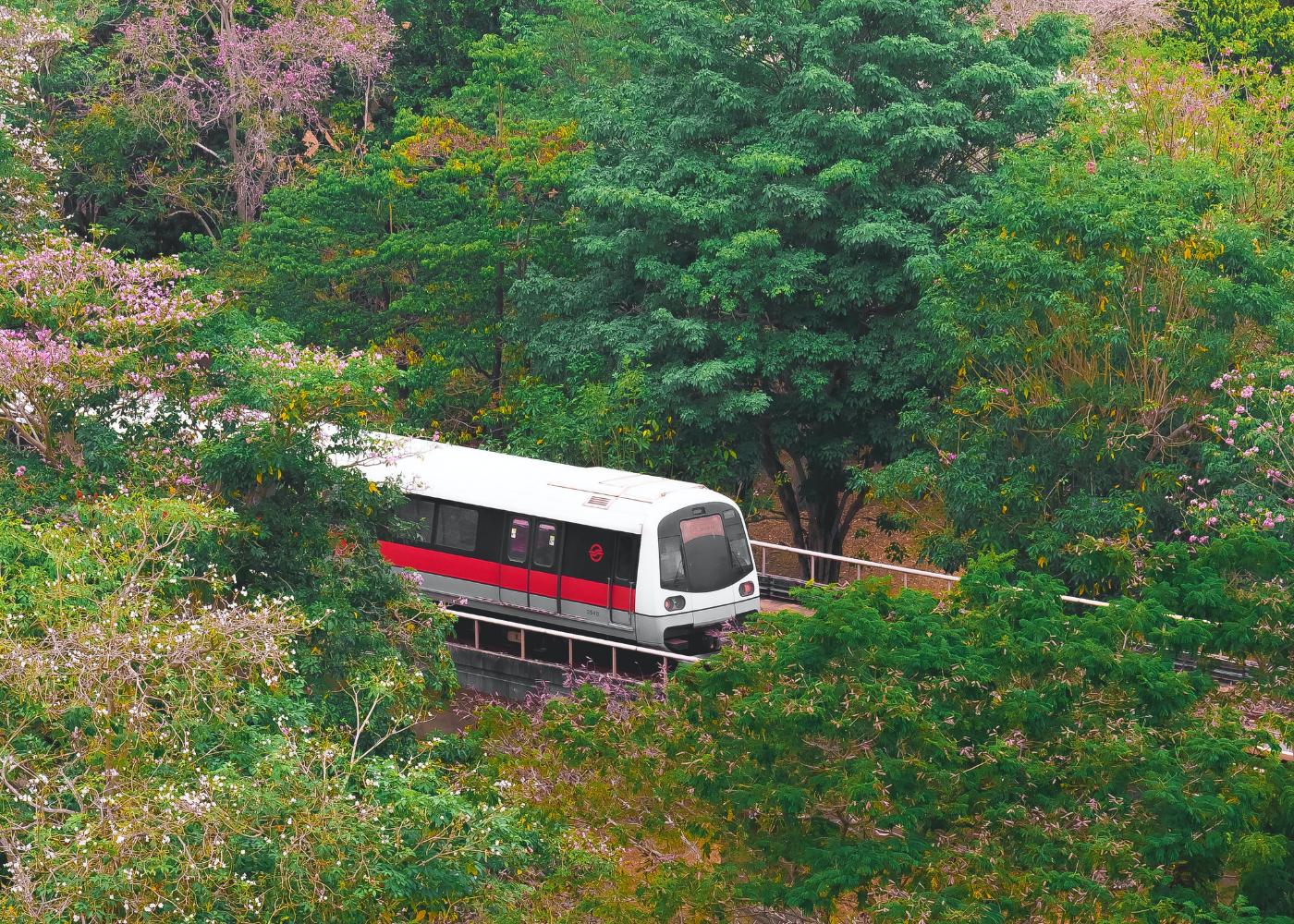 public transport singapore | mrt train