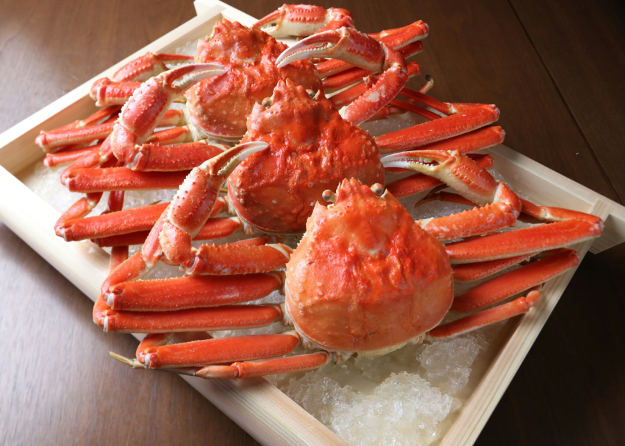 tottori snow crab