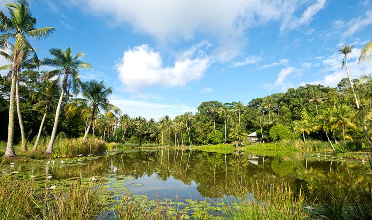Singapore’s islands: Hop around Pulau Ubin, Sisters’ Island, Lazarus and more
