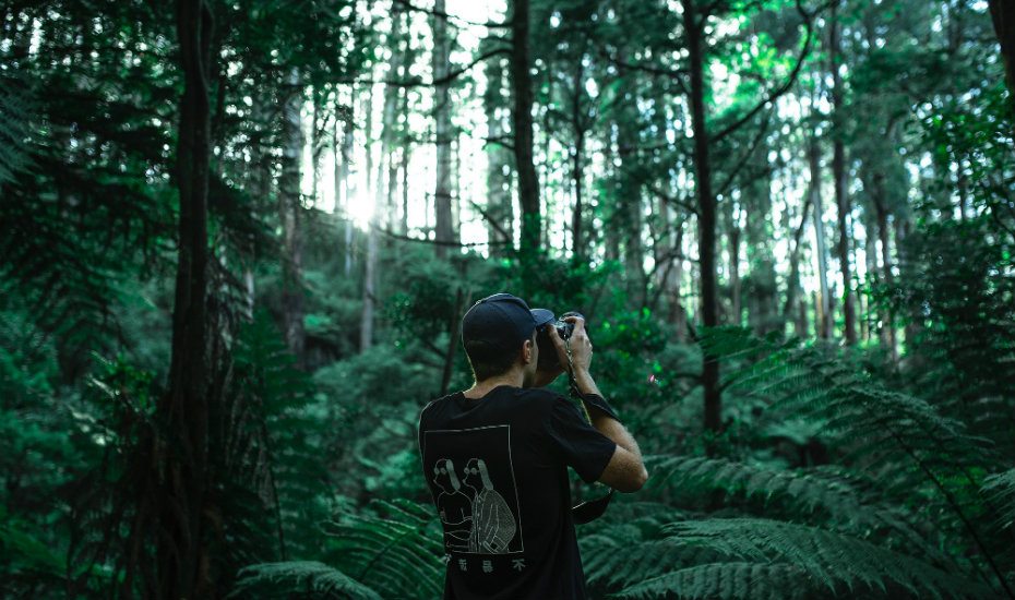 The best digital cameras out this year to step up your photography skills