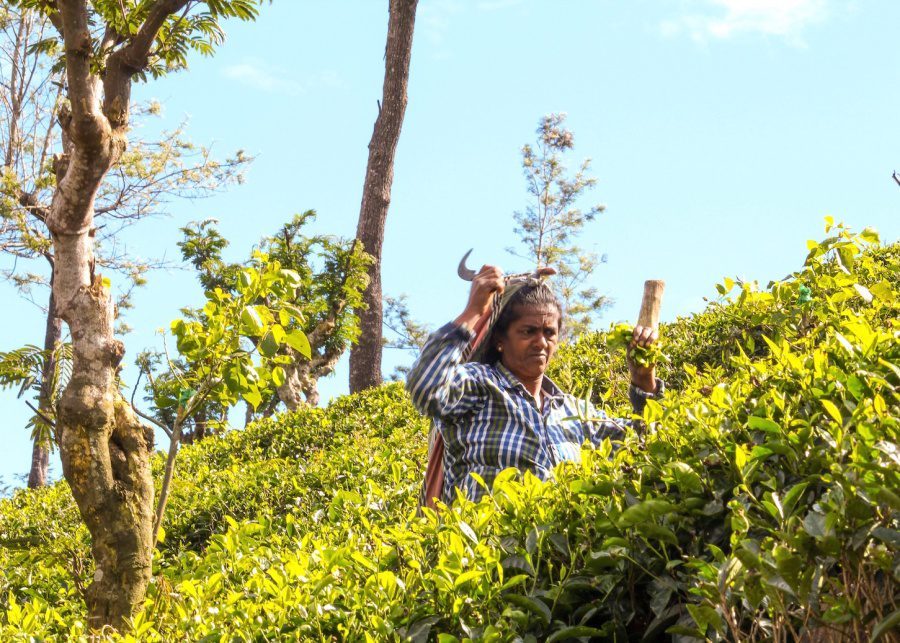 unique travel destinations | Haputale, Sri Lanka