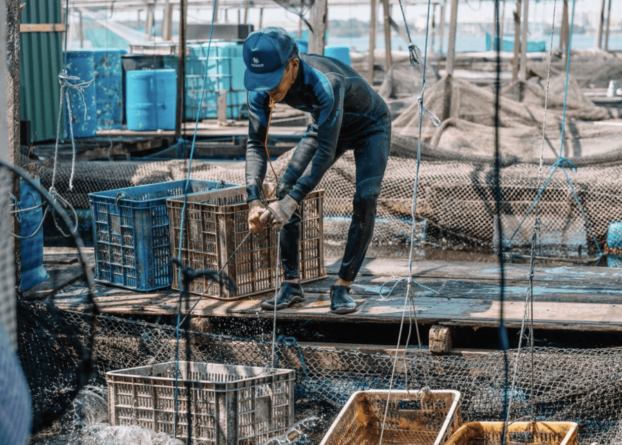 Fresh seafood and the simple life: The last remaining kelongs around Singapore