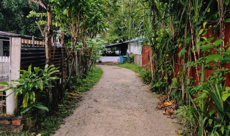 Exploring the Last Kampong in Singapore: Kampong Lorong Buangkok