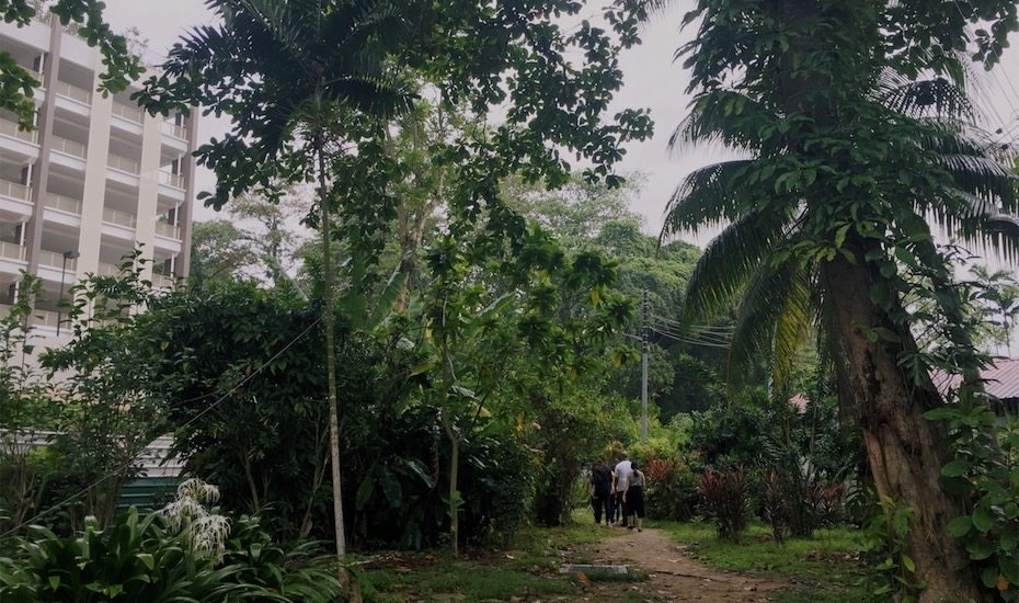 Exploring the Last Kampong in Singapore: Kampong Lorong Buangkok