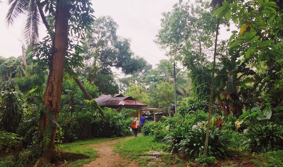 Exploring the Last Kampong in Singapore: Kampong Lorong Buangkok