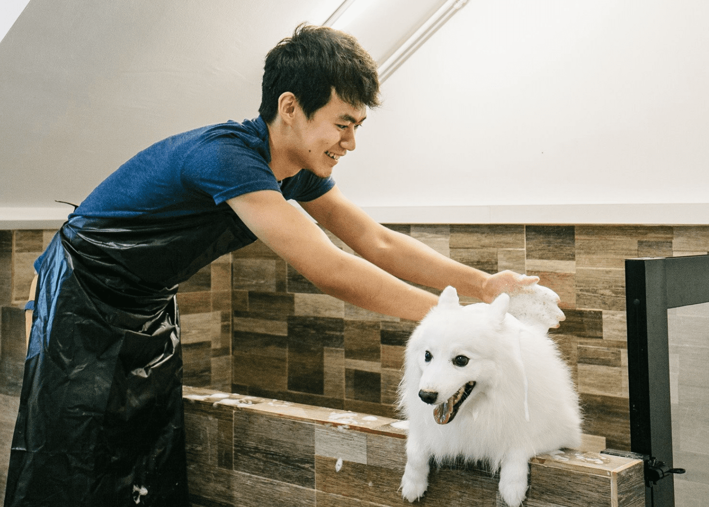 Top 10 pet hotels in Singapore for cats and dogs