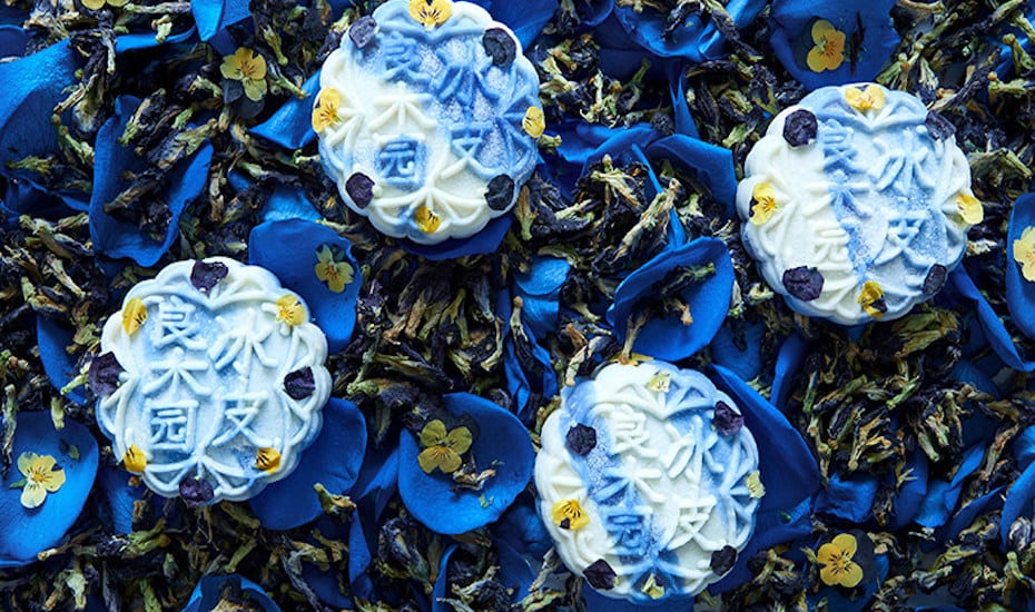 Goodwood park hotel mooncakes