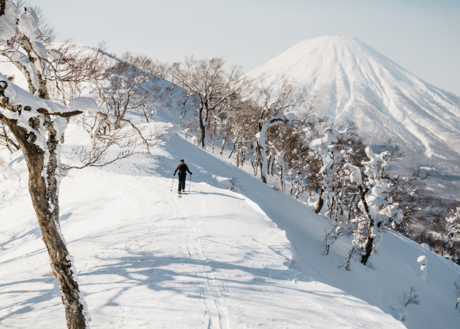 Winter Wonderlust Watch Online