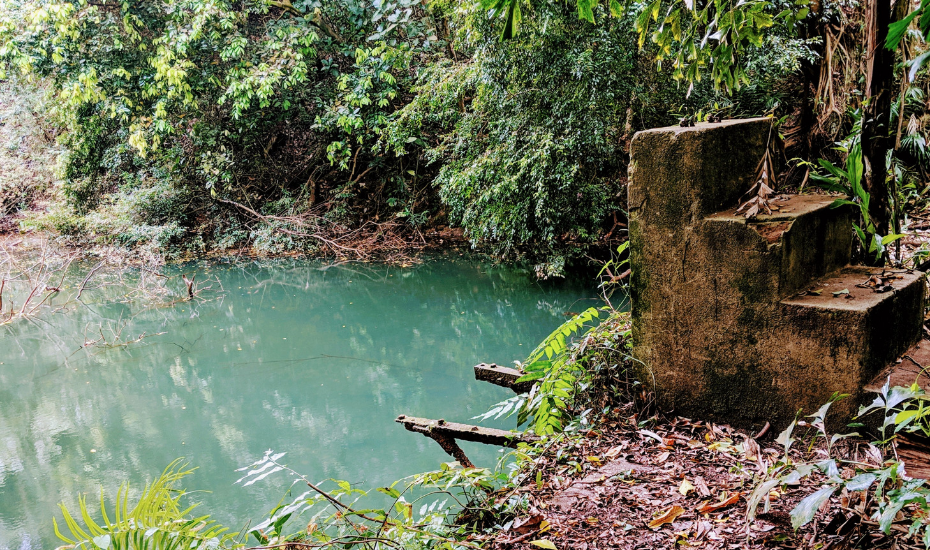 diving board | Follow our hike to the abandoned Keppel Hill Reservoir